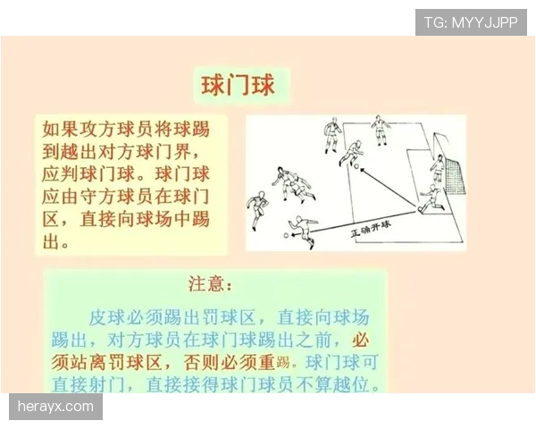 球门球规则详解：判罚标准与执行流程全解析