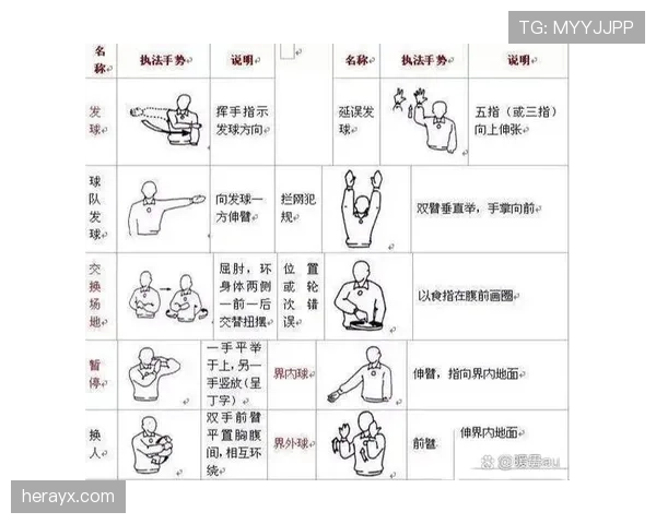 判定“发球五秒违例”的关键细节与裁判手势解析